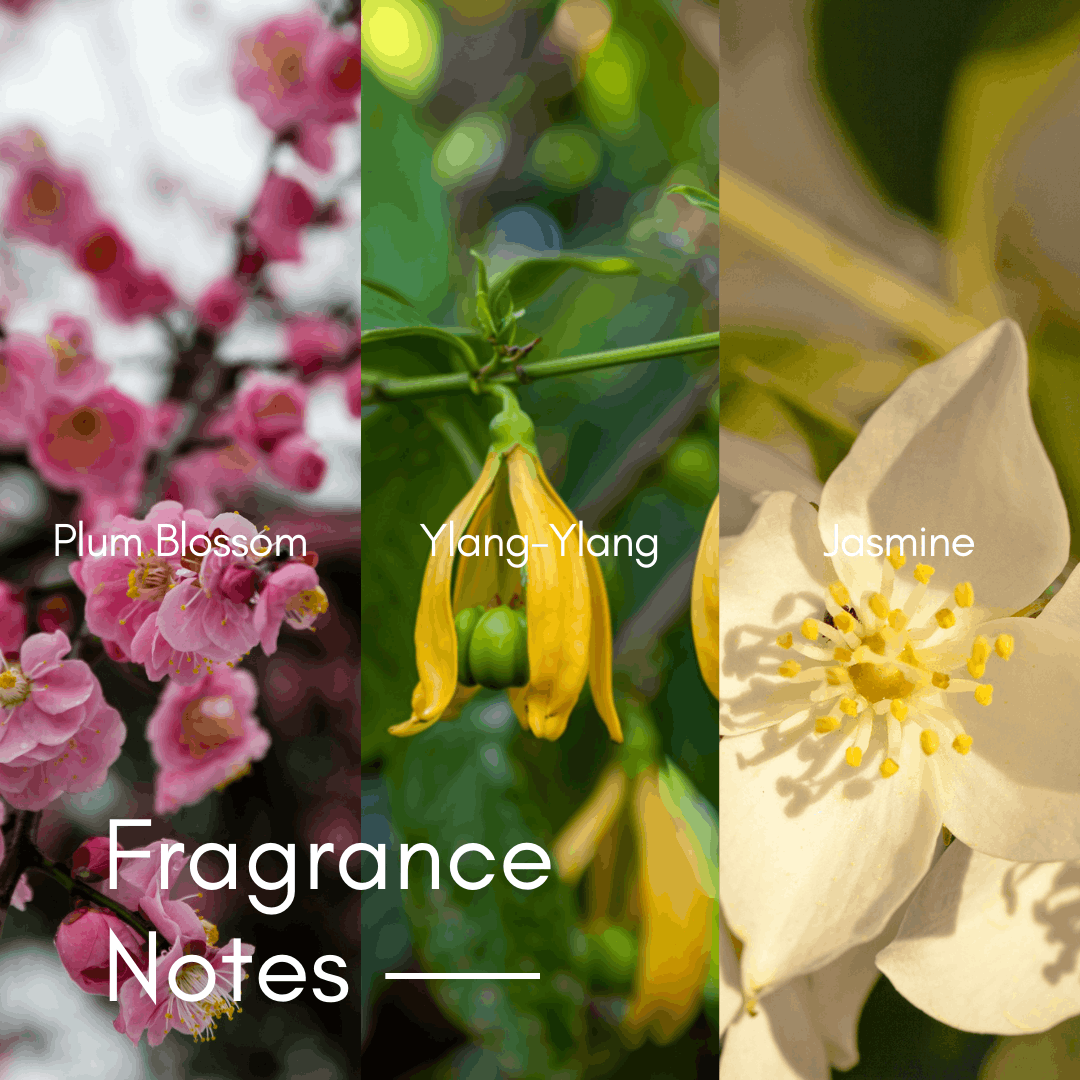 Frost Blossom | 15pcs Biodegradable Laundry Pods | by The Laundry Pods