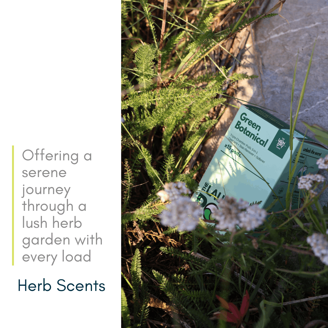 Green Botanical | 15pcs Biodegradable Laundry Pods | by The Laundry Pods