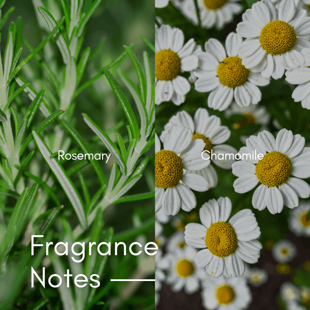 Green Botanical | 15pcs Biodegradable Laundry Pods | by The Laundry Pods